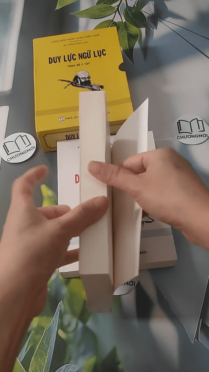 Bộ Duy Lực Ngữ Lục 16