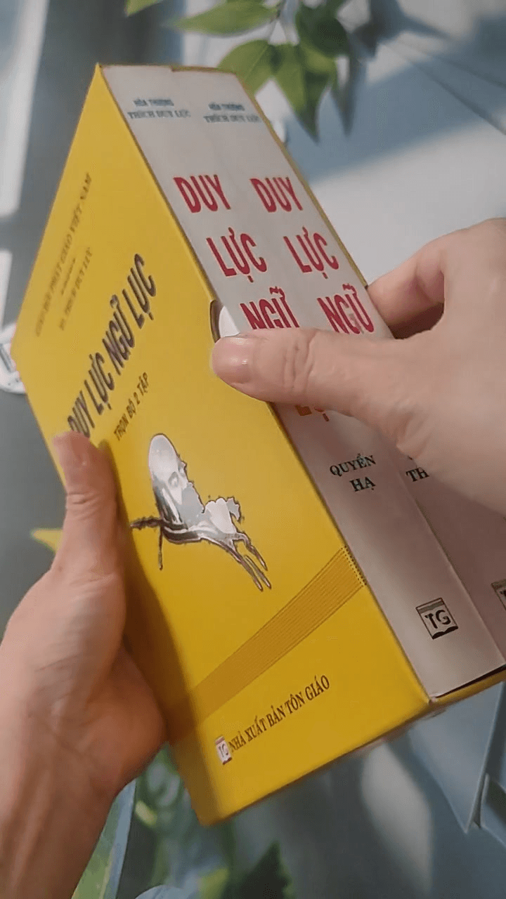 Bộ Duy Lực Ngữ Lục 6