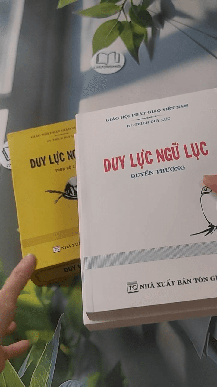 Bộ Duy Lực Ngữ Lục 8