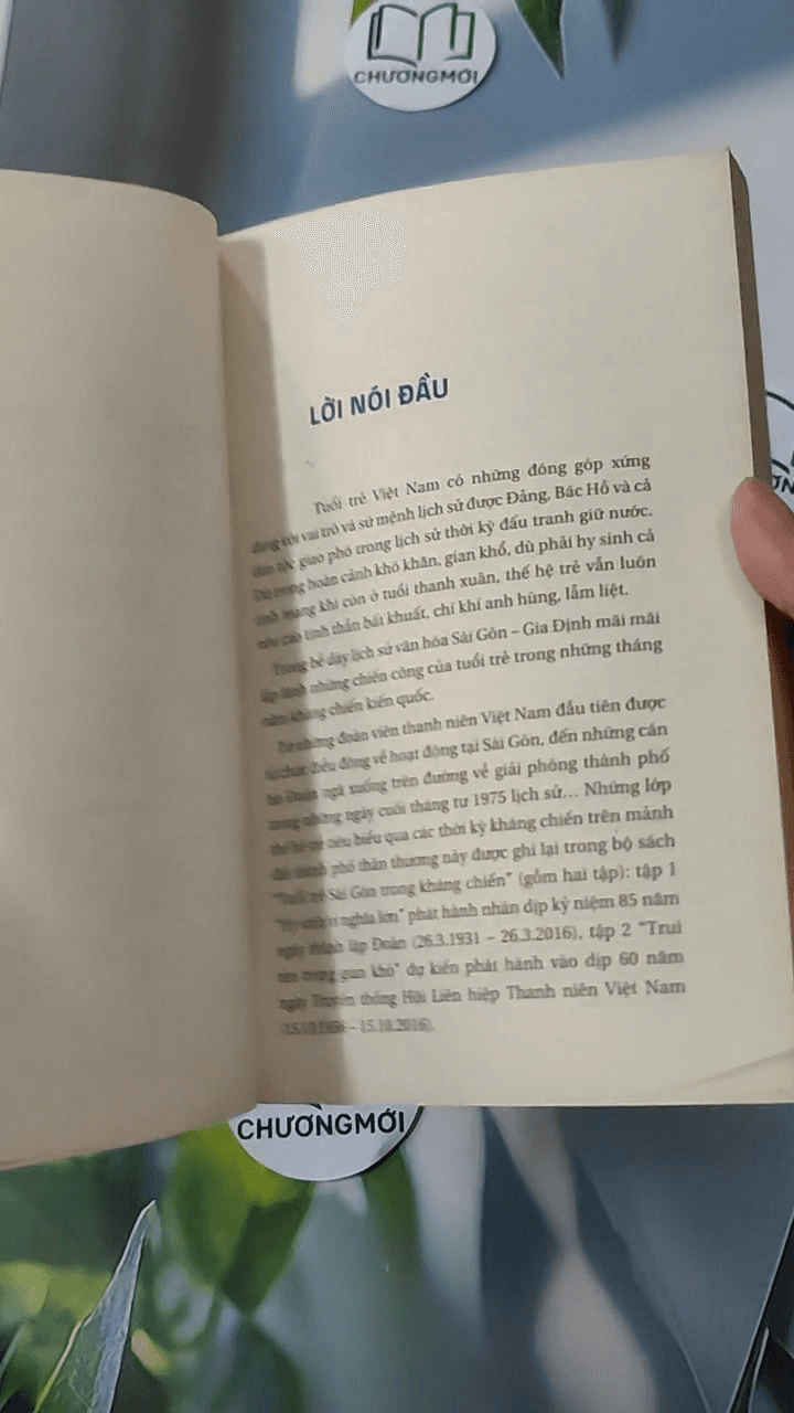 Tuổi Trẻ Sài Gòn Trong Kháng Chiến 1: Hy Sinh Vì Đại Nghĩa 8