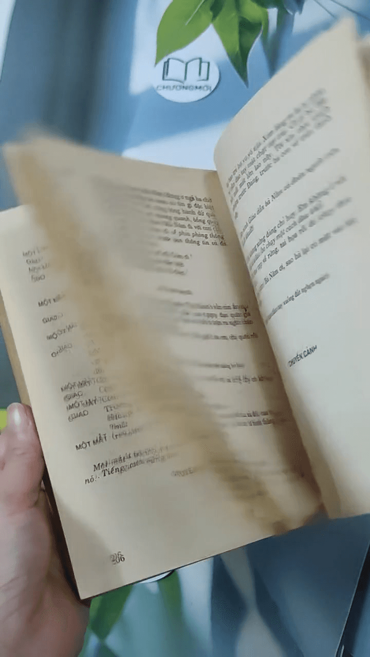 Mỗi Lần Hoa Mai Nở Kịch Chọn Lọc 14