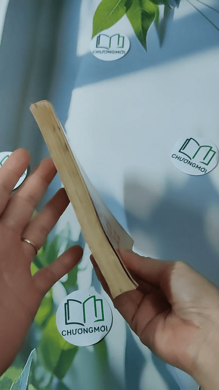Mỗi Lần Hoa Mai Nở Kịch Chọn Lọc 5
