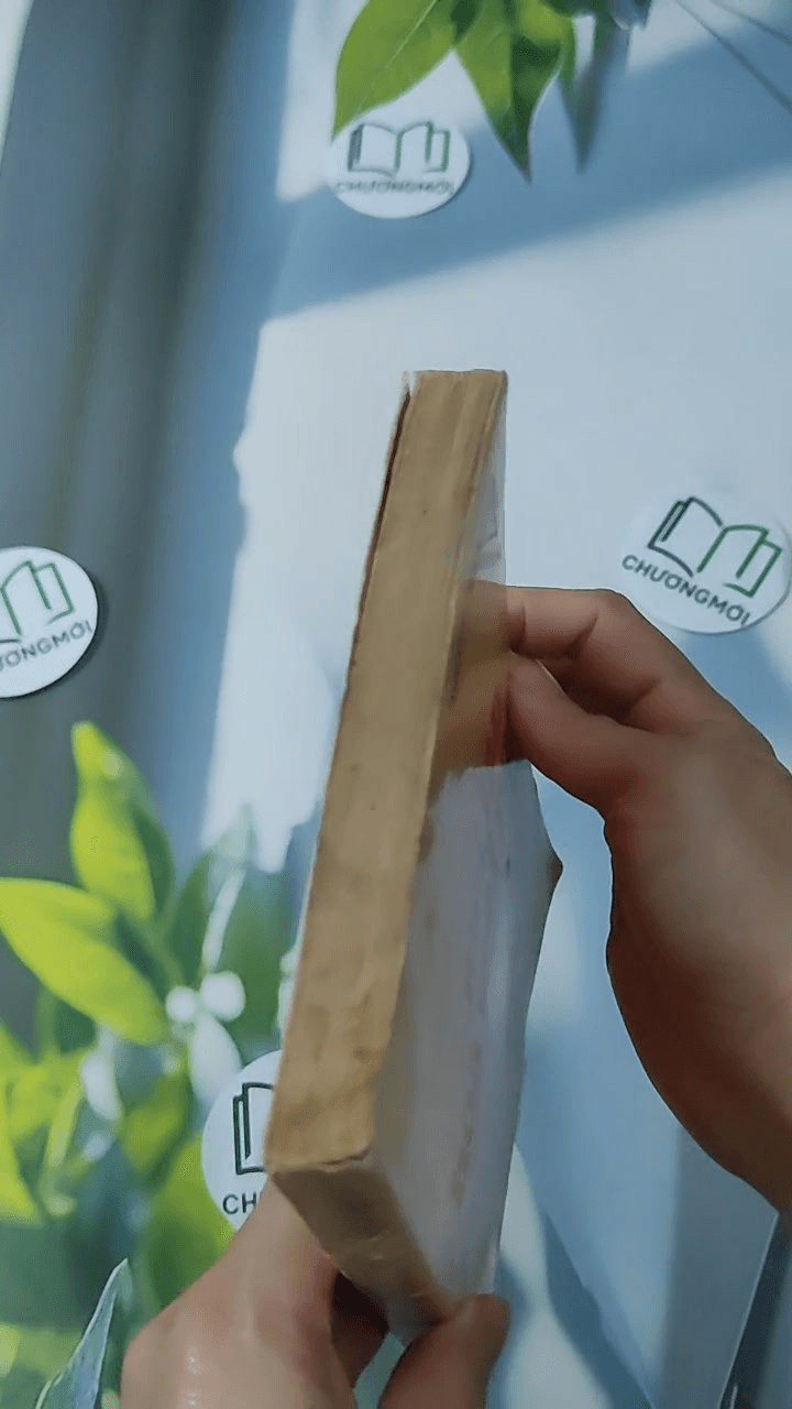 Mỗi Lần Hoa Mai Nở Kịch Chọn Lọc 6