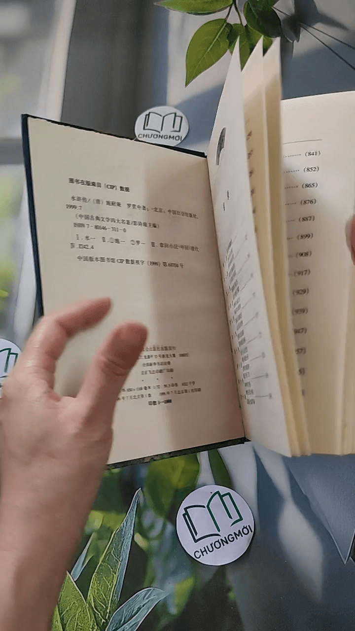 Thủy Hử 1 + 2 (水浒传) 8