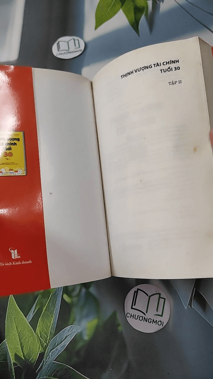 Thịnh vượng tài chính tuổi 30 2 6