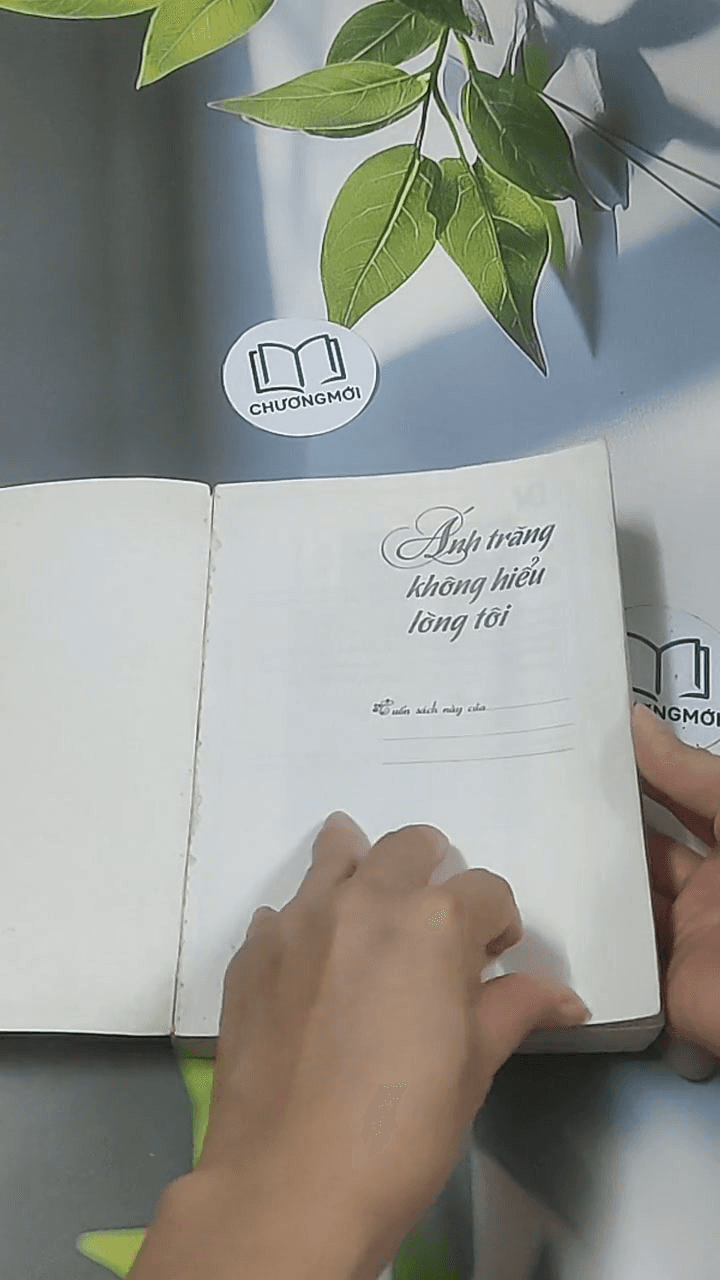 Ánh trăng không hiểu lòng tôi 1 14