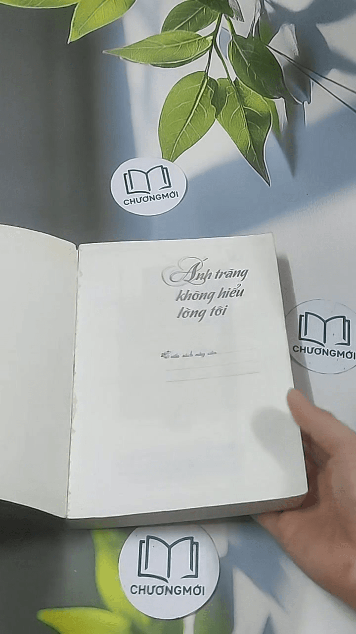 Ánh trăng không hiểu lòng tôi 1 7
