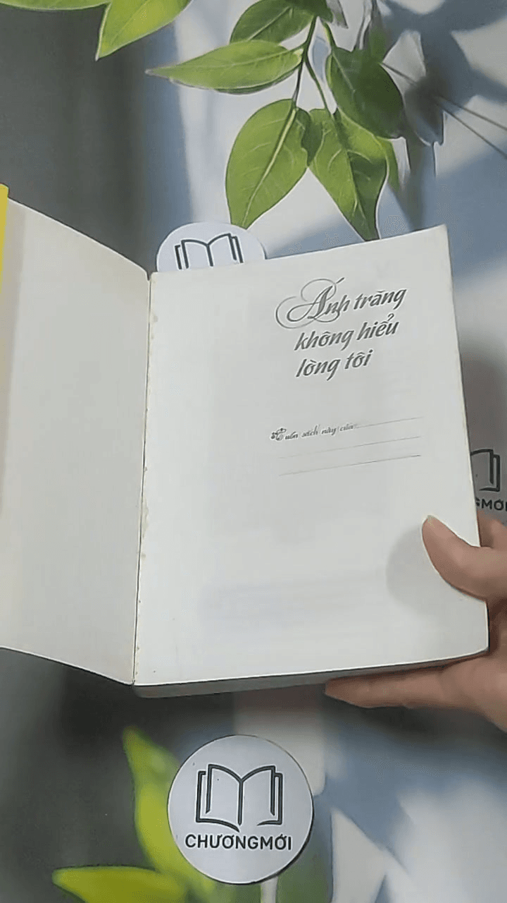 Ánh trăng không hiểu lòng tôi 1 8