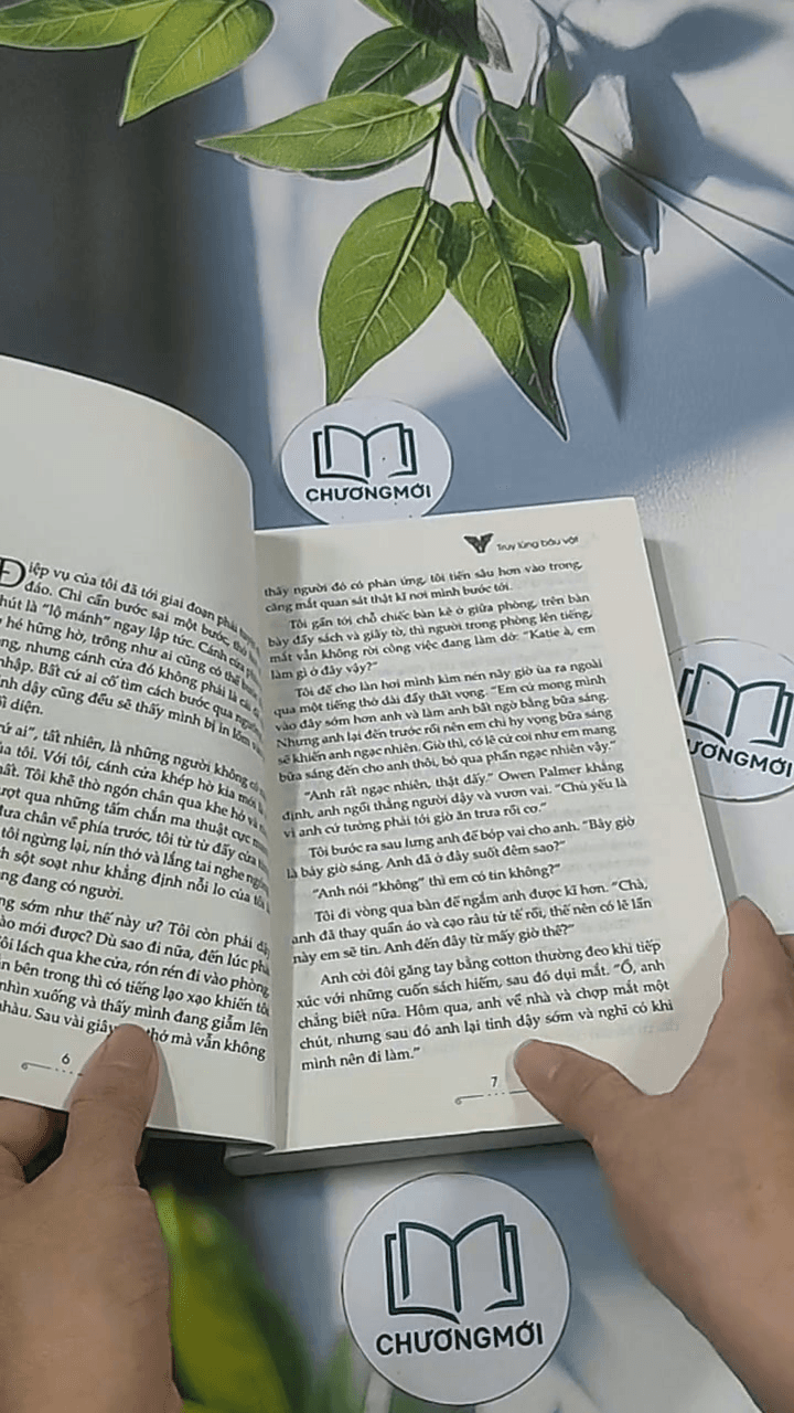Công ty phép thuật 6: Truy lùng báu vật 14