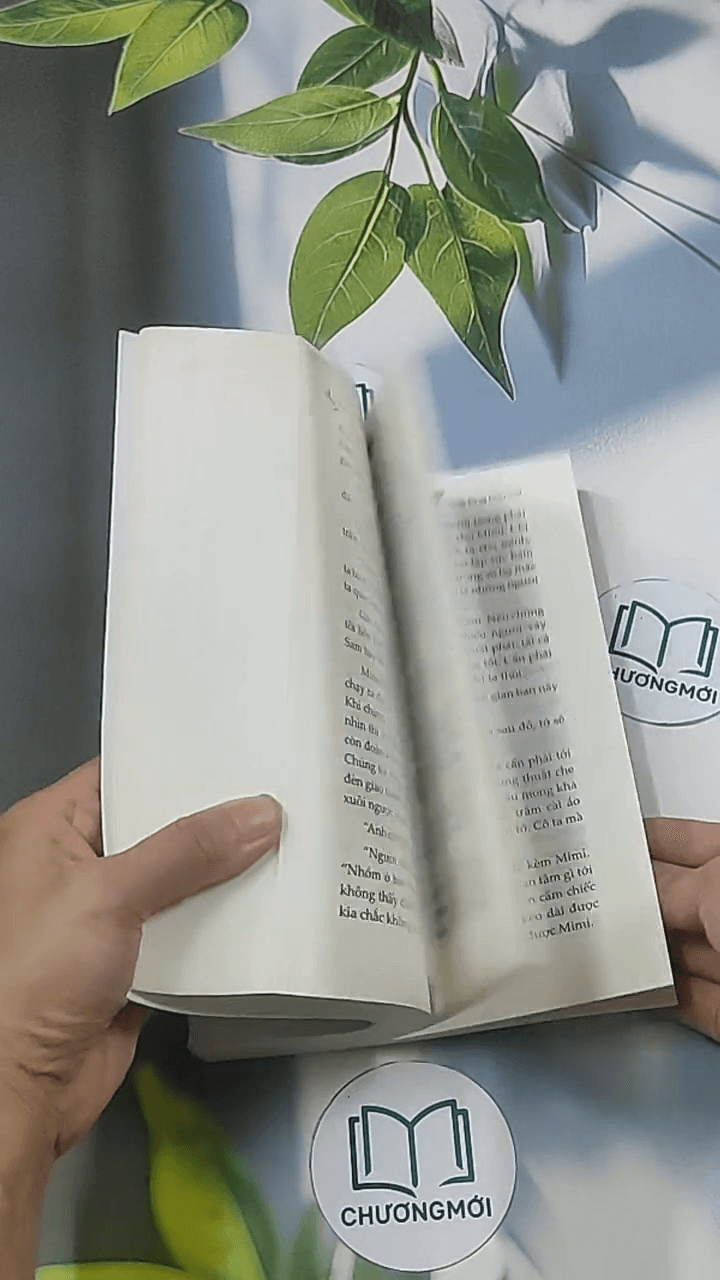 Công ty phép thuật 6: Truy lùng báu vật 15