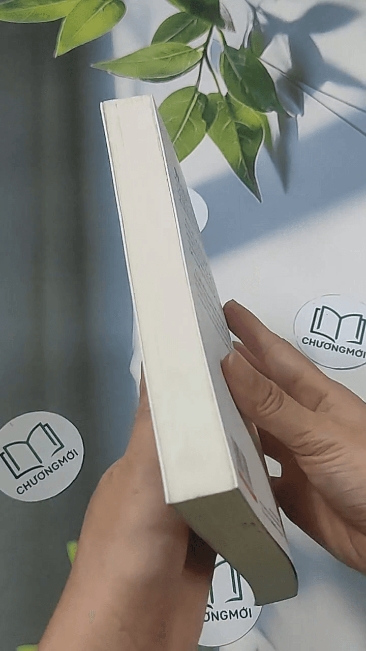 Công ty phép thuật 6: Truy lùng báu vật 6