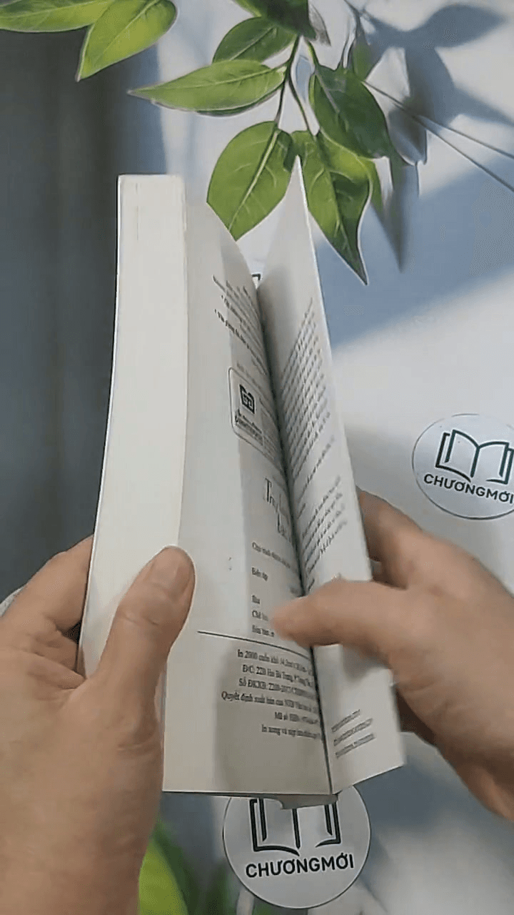 Công ty phép thuật 6: Truy lùng báu vật 7