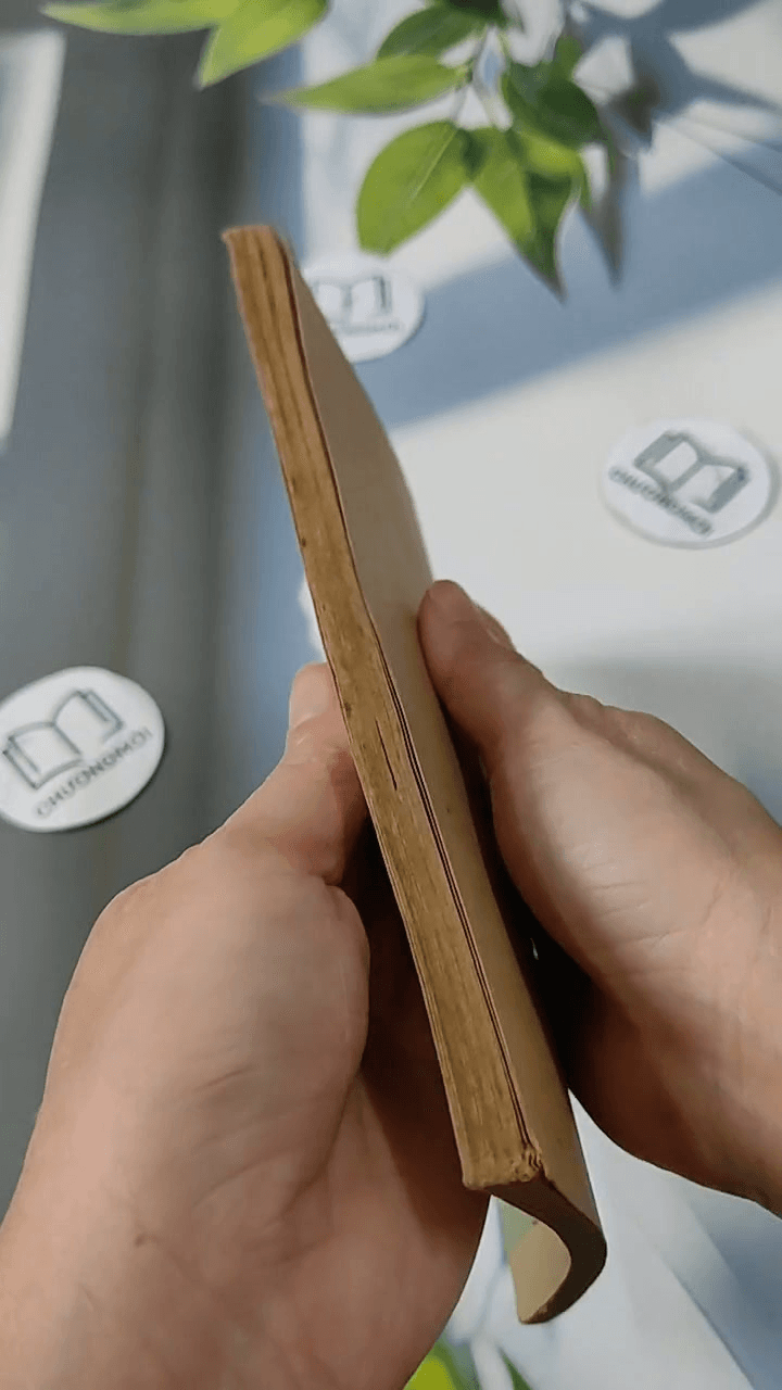 Sách Giáo Viên: Tiếng Việt 9 1 5
