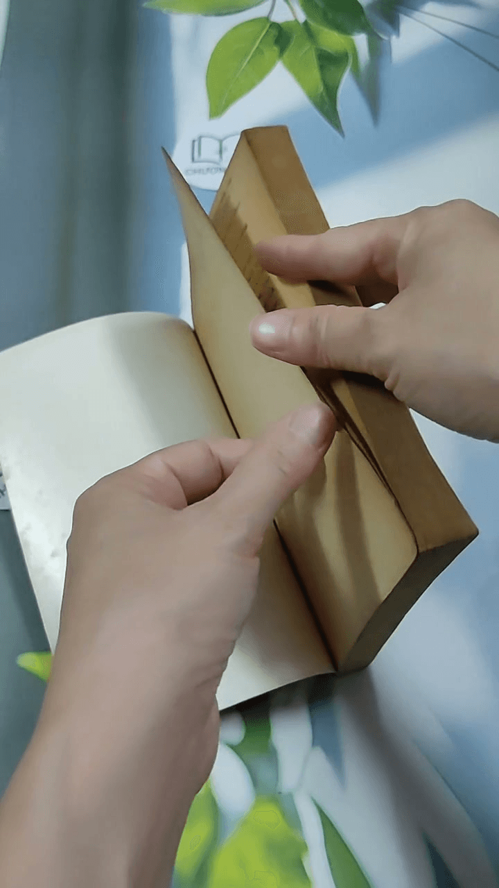 Tháng Mười Một Của Trái Tim 2 8