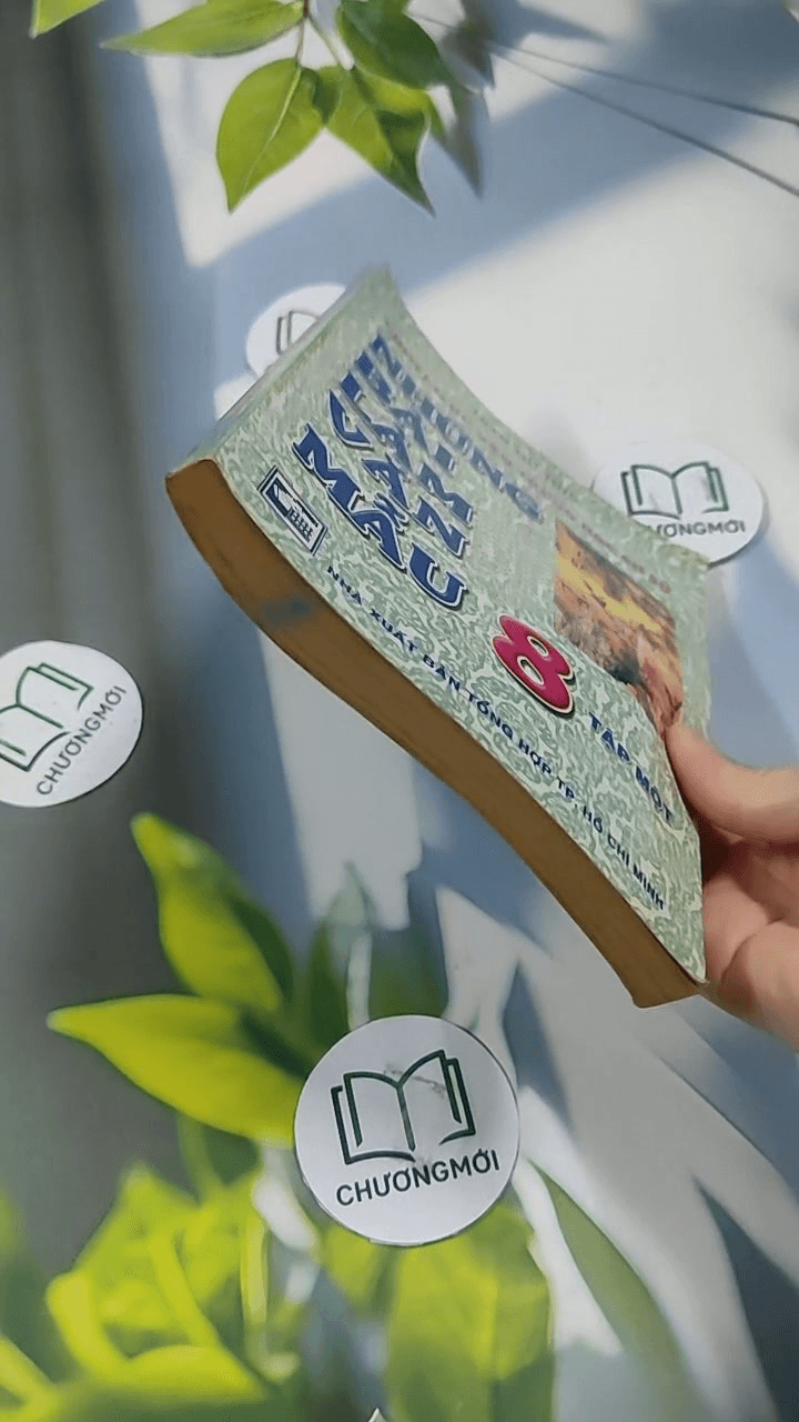 Những Bài Làm Văn Mẫu 8 1 5