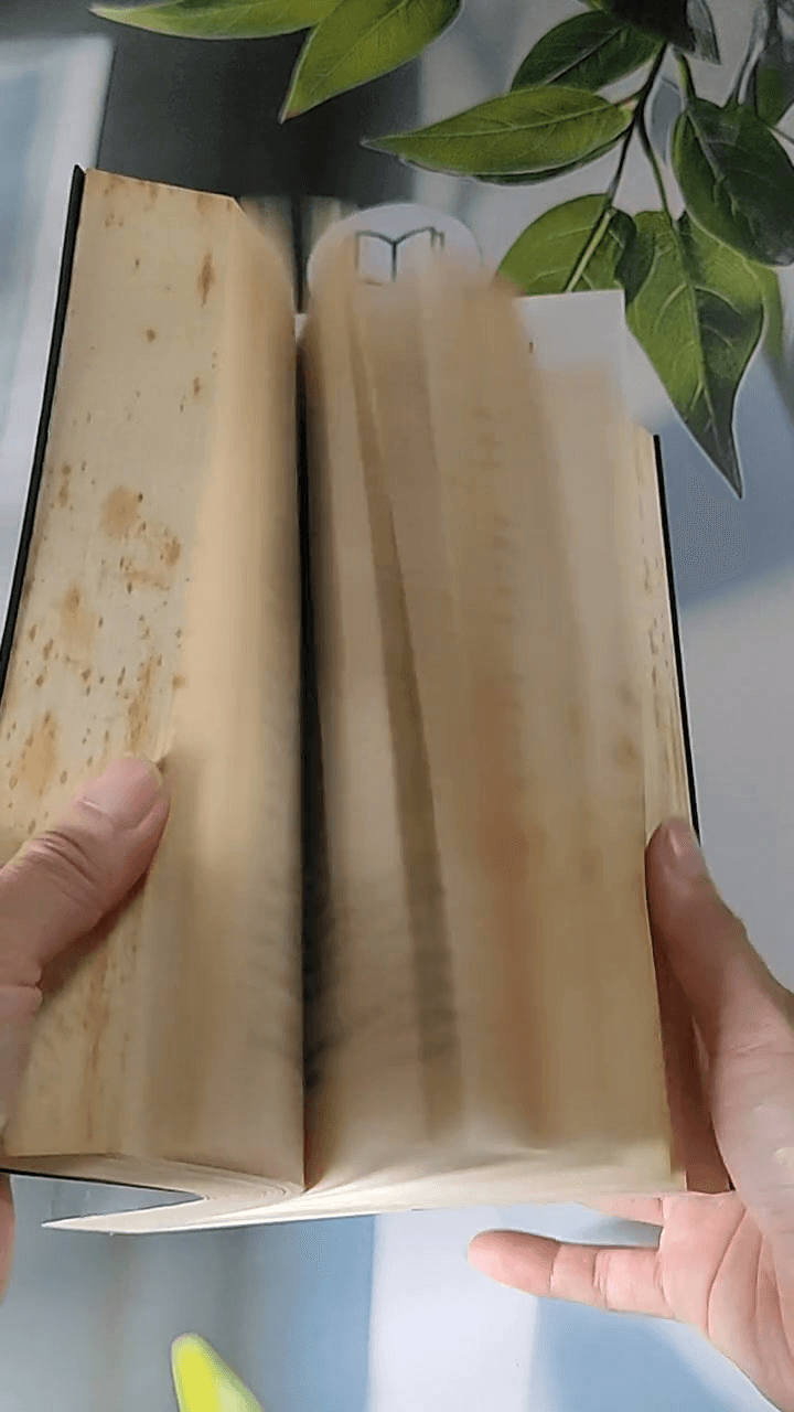 Vợ và con gái 1 + 2 16
