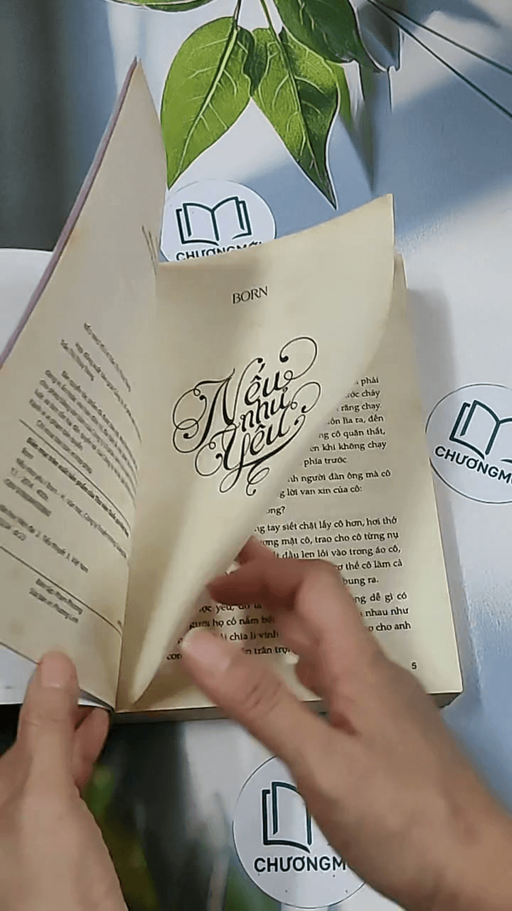 Nếu như yêu 1 12