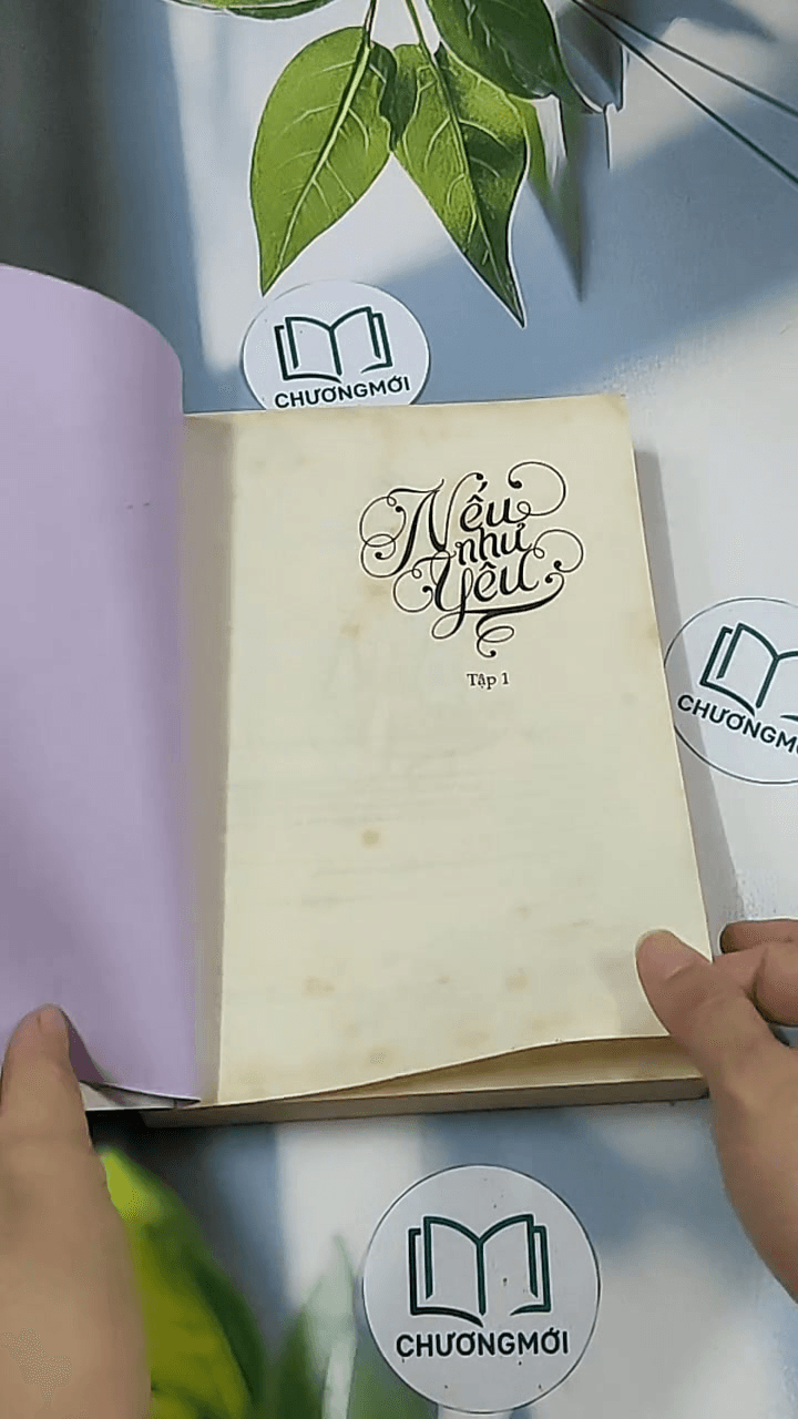 Nếu như yêu 1 11