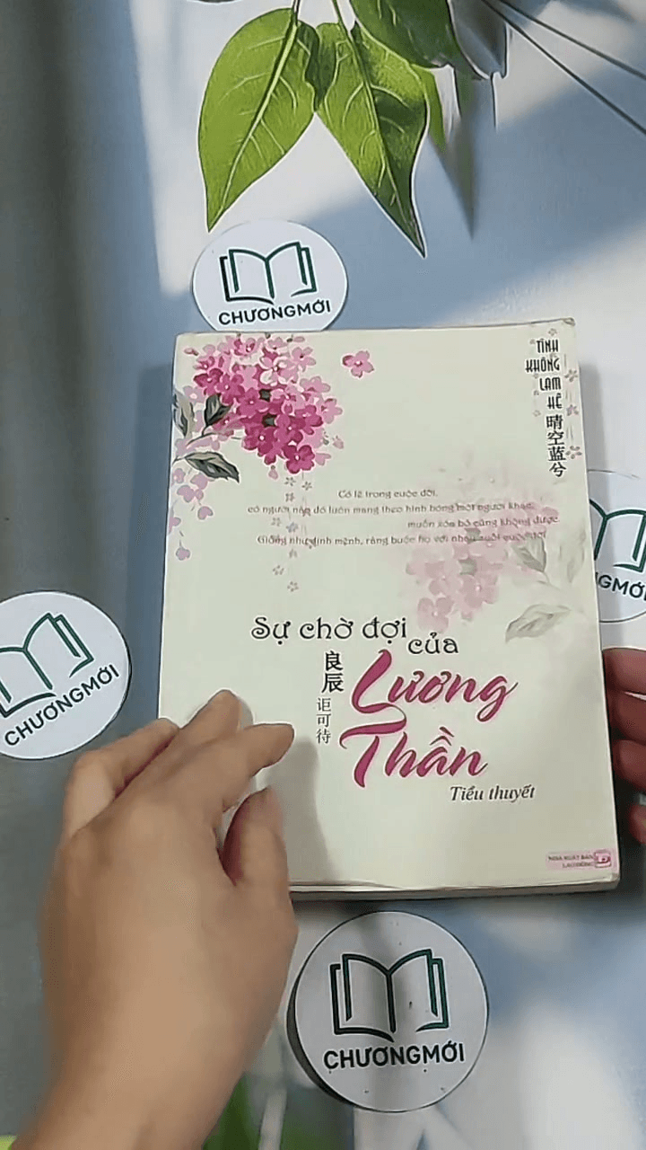 Sự chờ đợi của Lương Thần 13