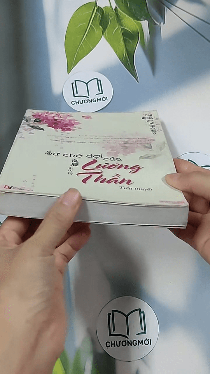 Sự chờ đợi của Lương Thần 4