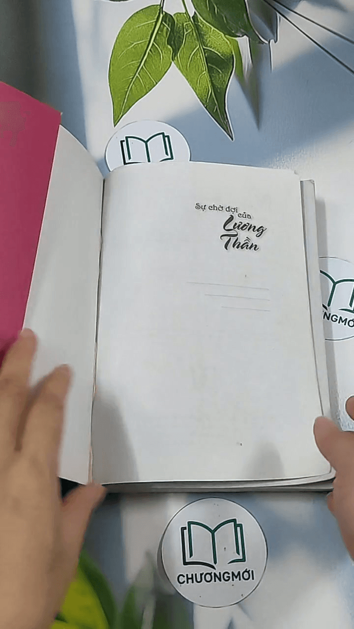 Sự chờ đợi của Lương Thần 10
