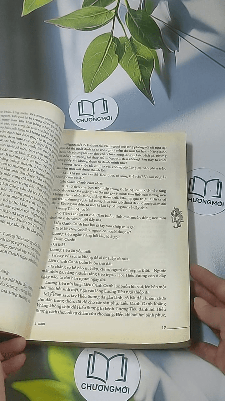 Cung luân 6: Kiếp ba 13
