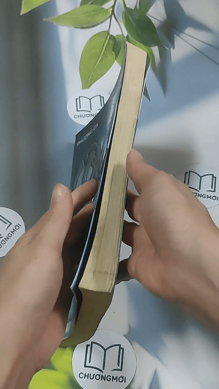 Cung luân 6: Kiếp ba 6