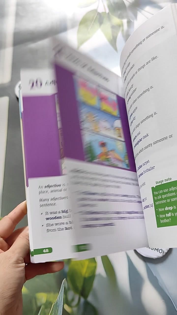 101 Grammar In Action Special Edition: Learning English Through Pictures 13