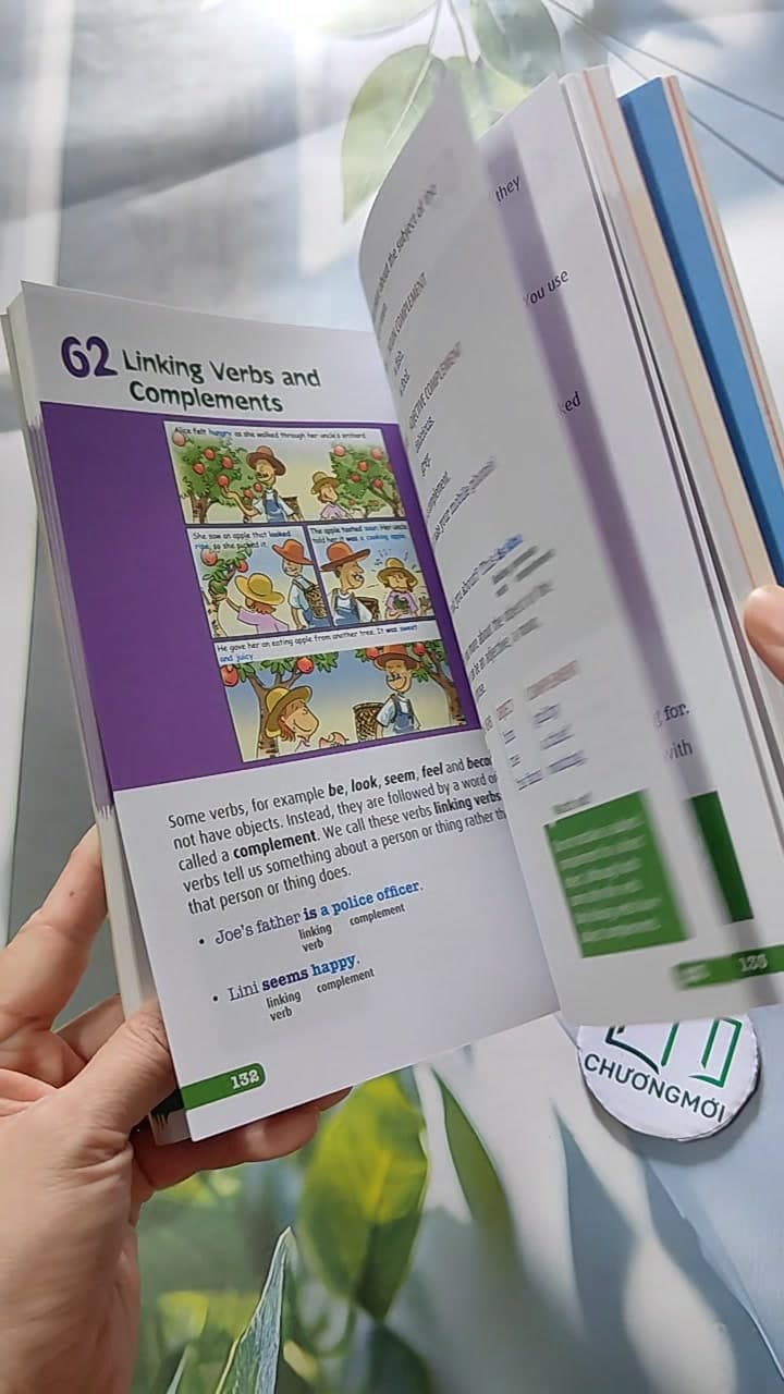 101 Grammar In Action Special Edition: Learning English Through Pictures 15