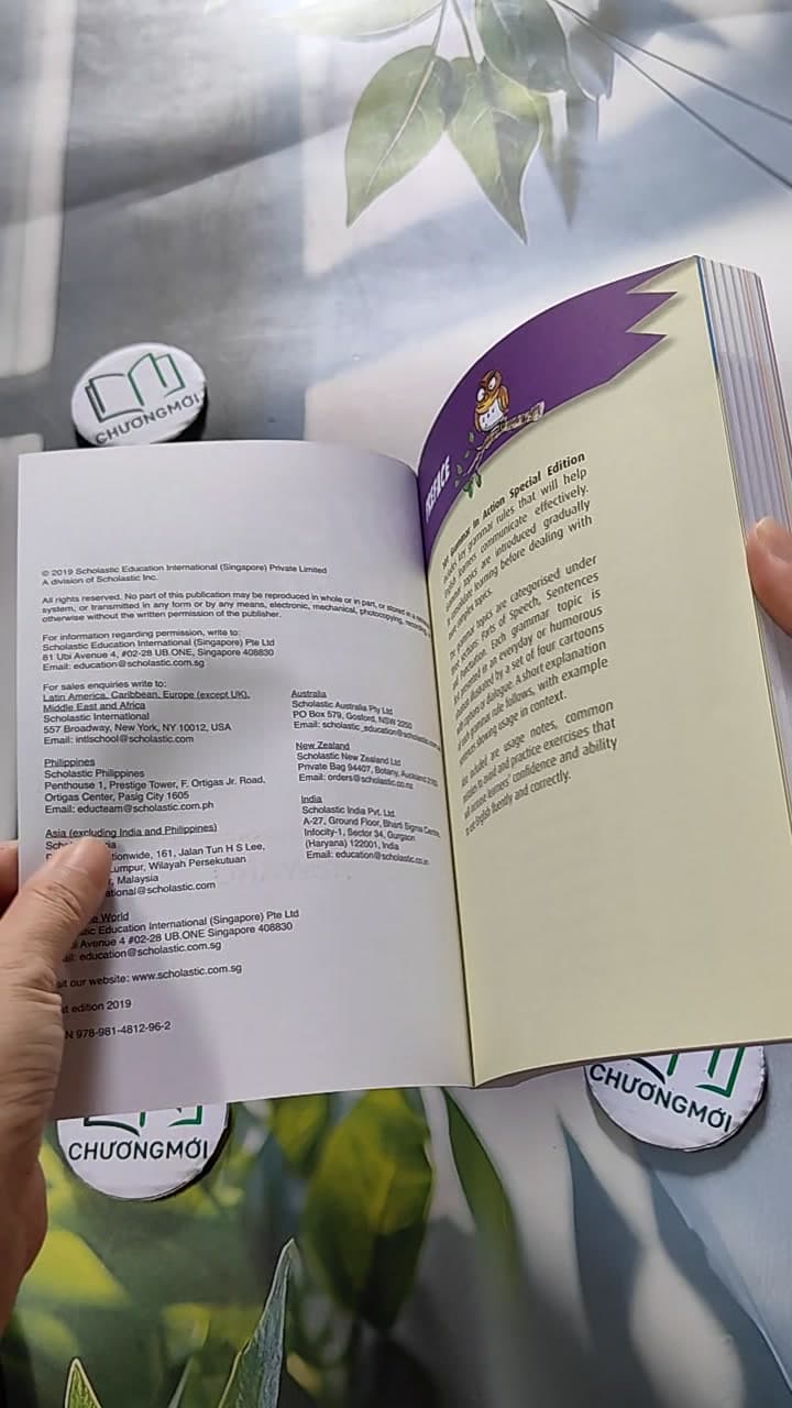 101 Grammar In Action Special Edition: Learning English Through Pictures 8