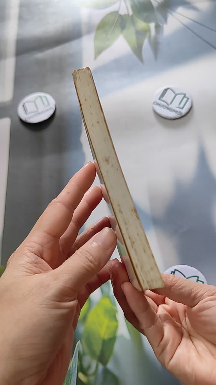 Luận & Luyện Dịch Pháp Văn (song ngữ) 4