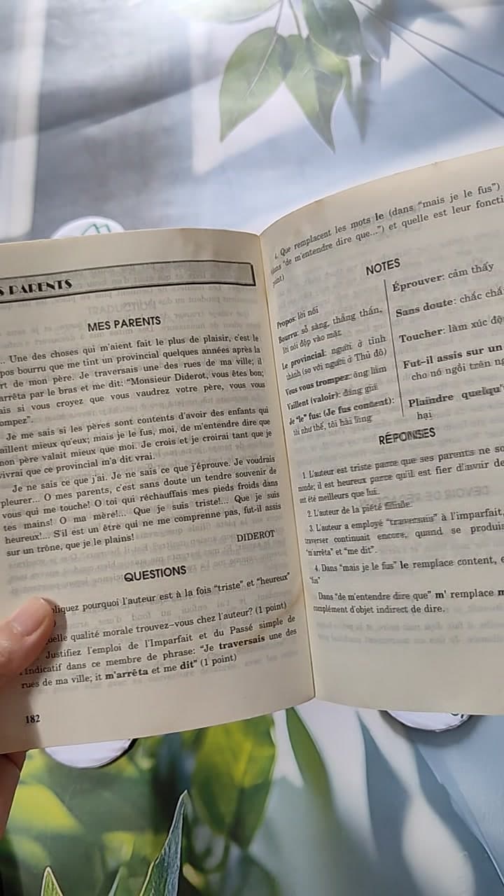 Luận & Luyện Dịch Pháp Văn 13