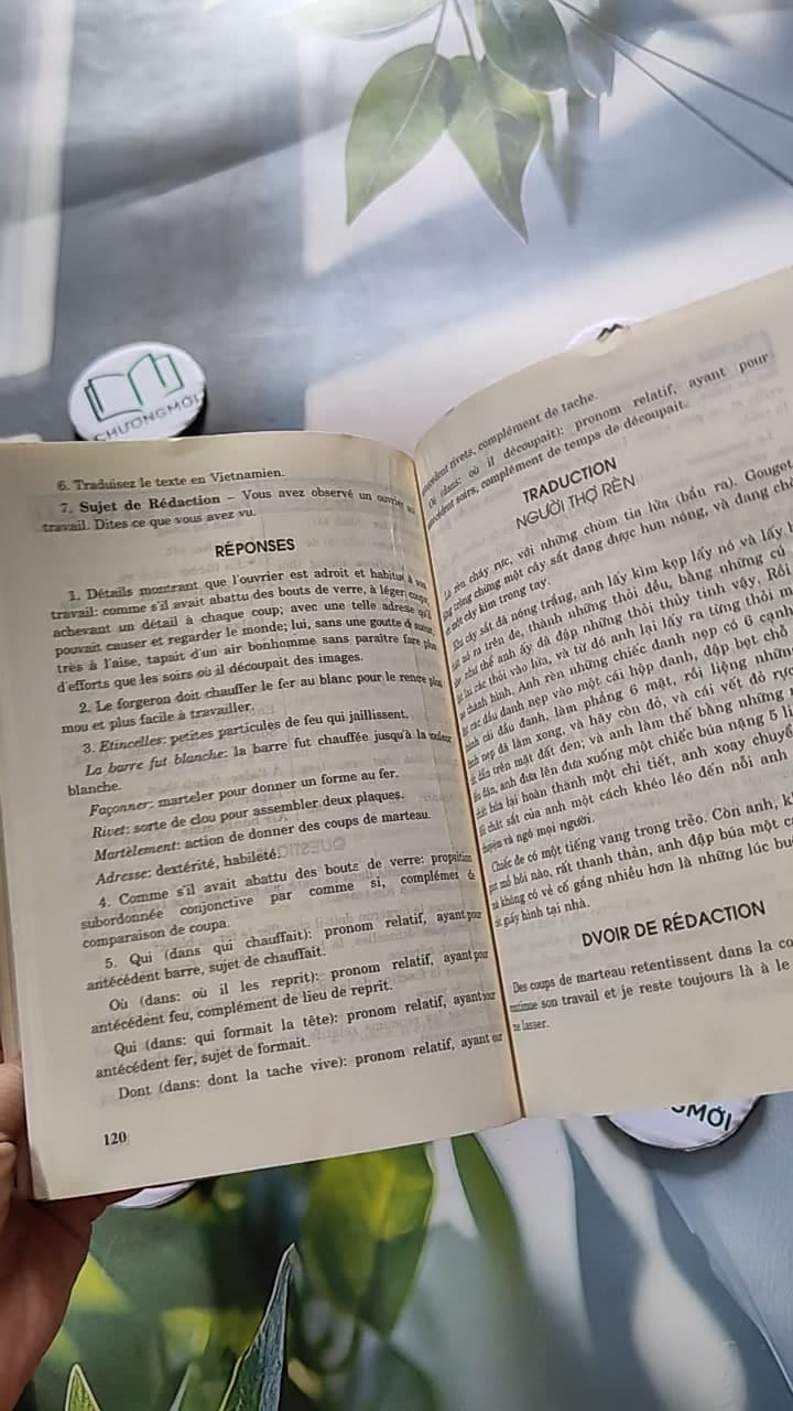 Luận & Luyện Dịch Pháp Văn 11