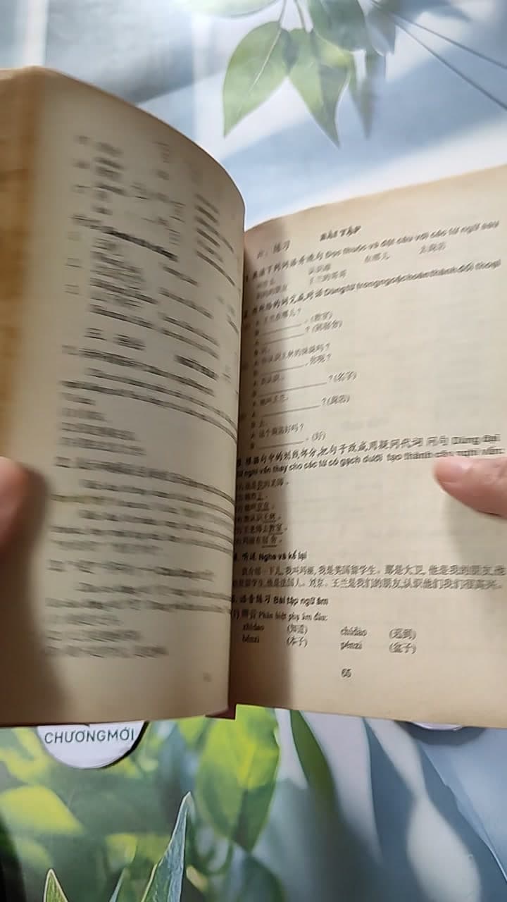 301 Câu Đàm Thoại Tiếng Hoa 12