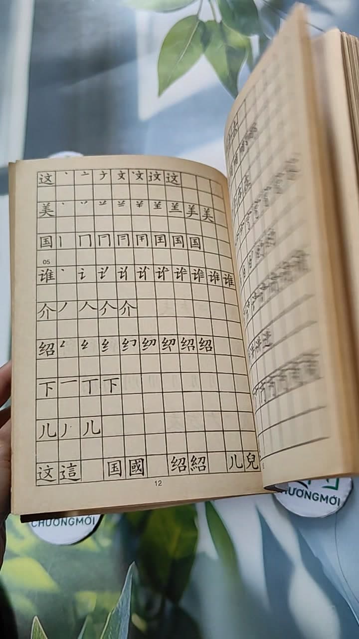 Tập Viết Chữ Hoa 13