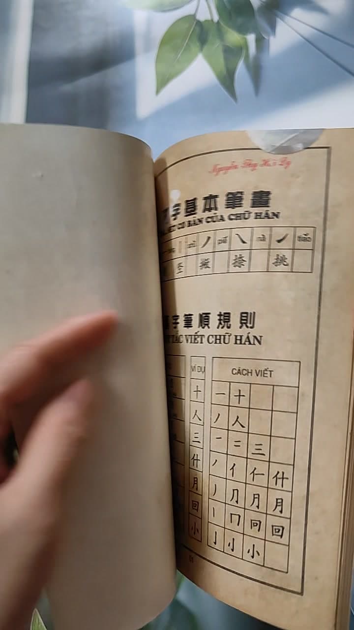 Tập Viết Chữ Hoa 10