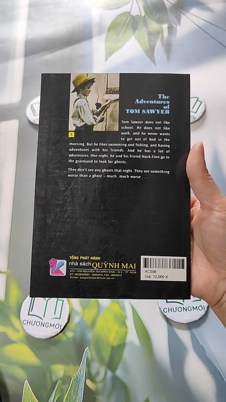The Adventures Of Tom Sawyer 17