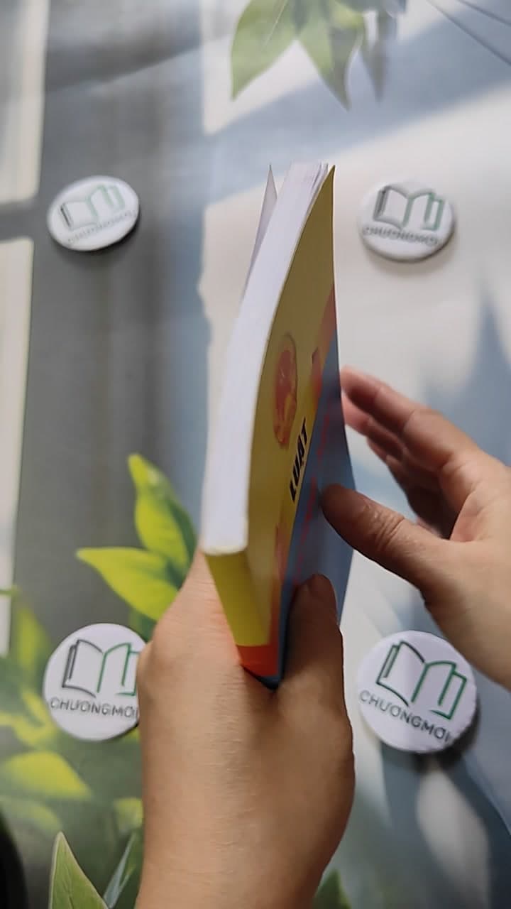 Luật Thương Mại Hiện Hành Sửa Đổi Năm 2017 , 2019 4
