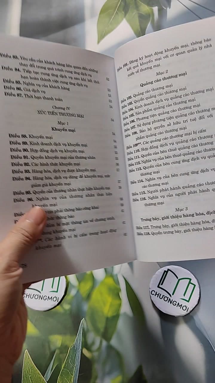 Luật Thương Mại Hiện Hành Sửa Đổi Năm 2017 , 2019 9