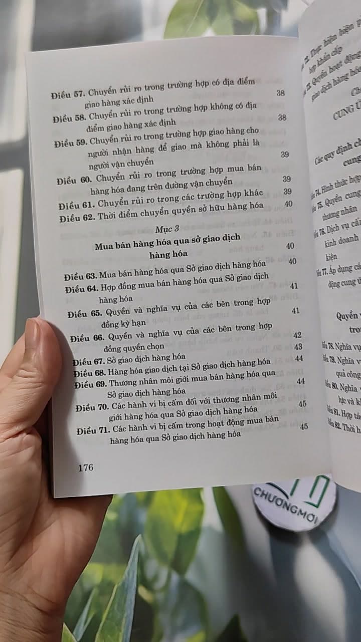 Luật Thương Mại Hiện Hành Sửa Đổi Năm 2017 , 2019 10