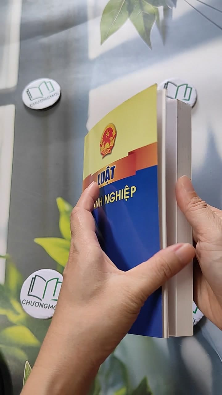 Luật Doanh Nghiệp 5