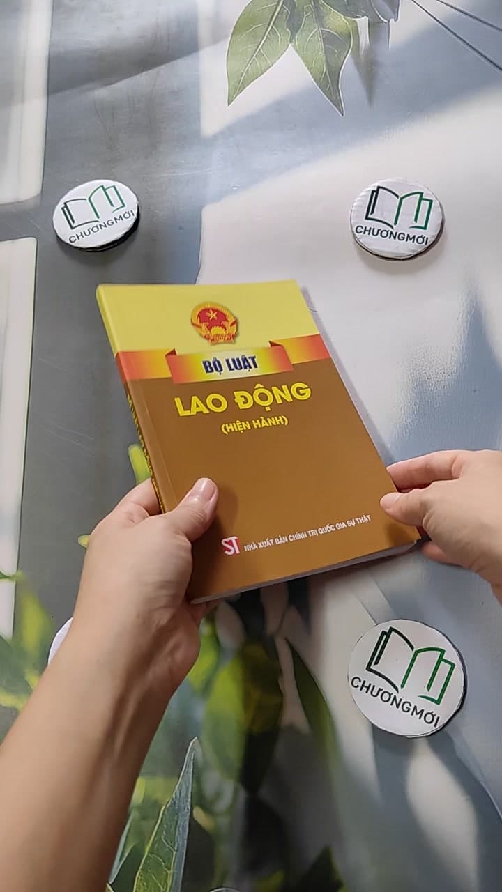 Bộ Luật Lao Động Hiện Hành 3