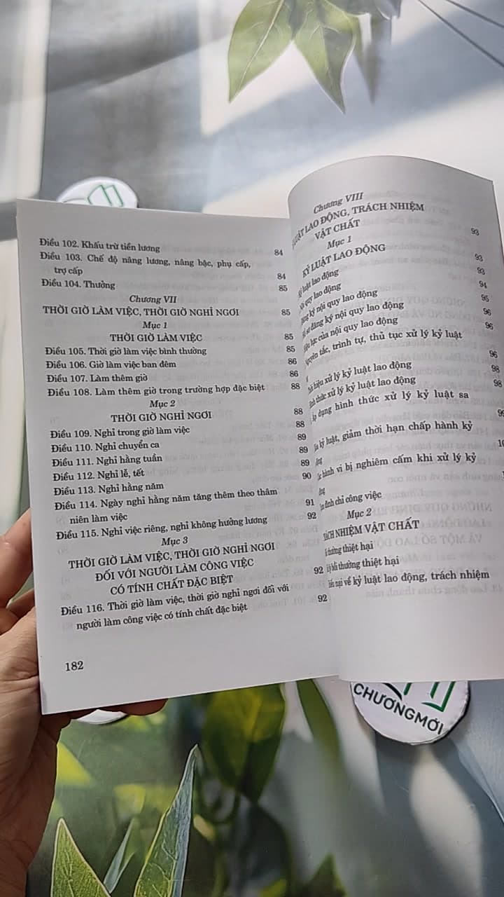 Bộ Luật Lao Động Hiện Hành 13