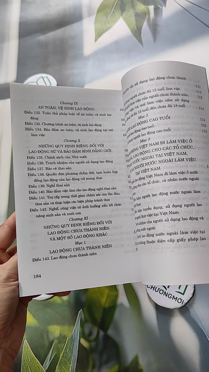 Bộ Luật Lao Động Hiện Hành 14