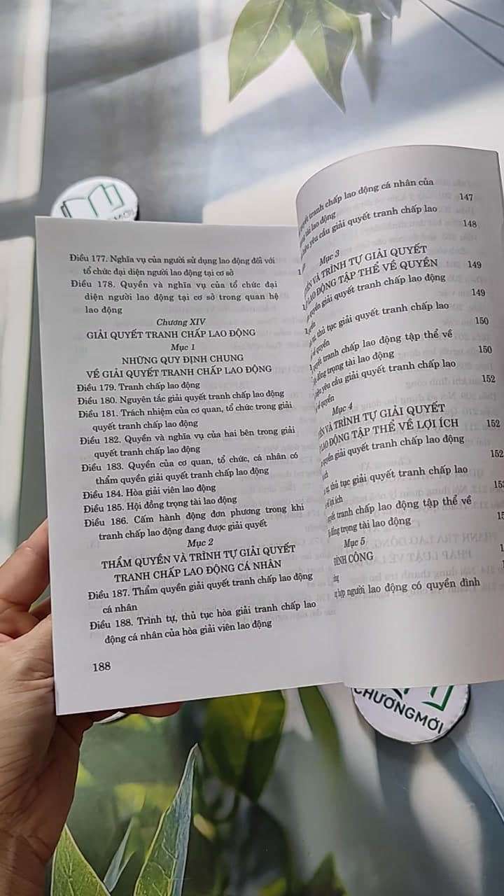 Bộ Luật Lao Động Hiện Hành 15