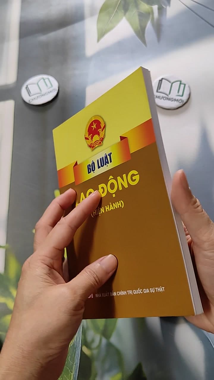 Bộ Luật Lao Động Hiện Hành 6