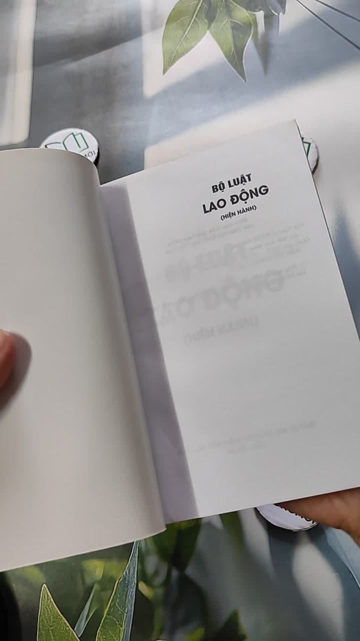Bộ Luật Lao Động Hiện Hành 7