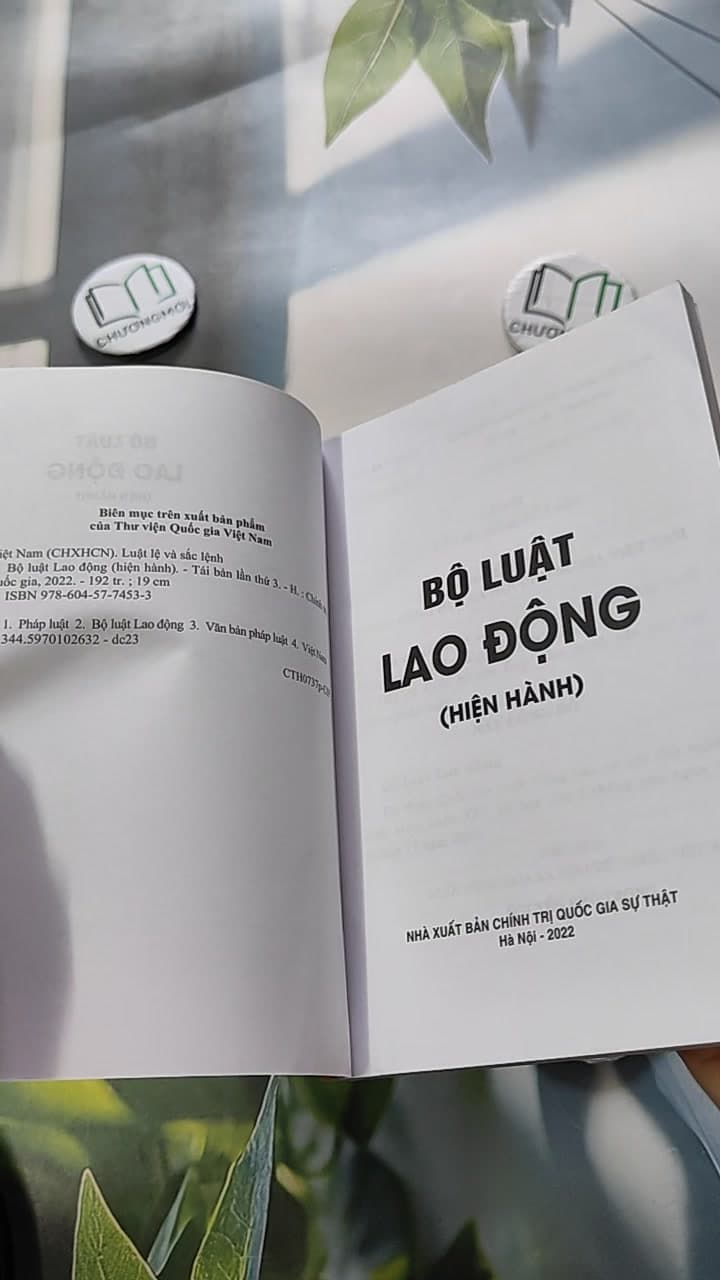 Bộ Luật Lao Động Hiện Hành 8