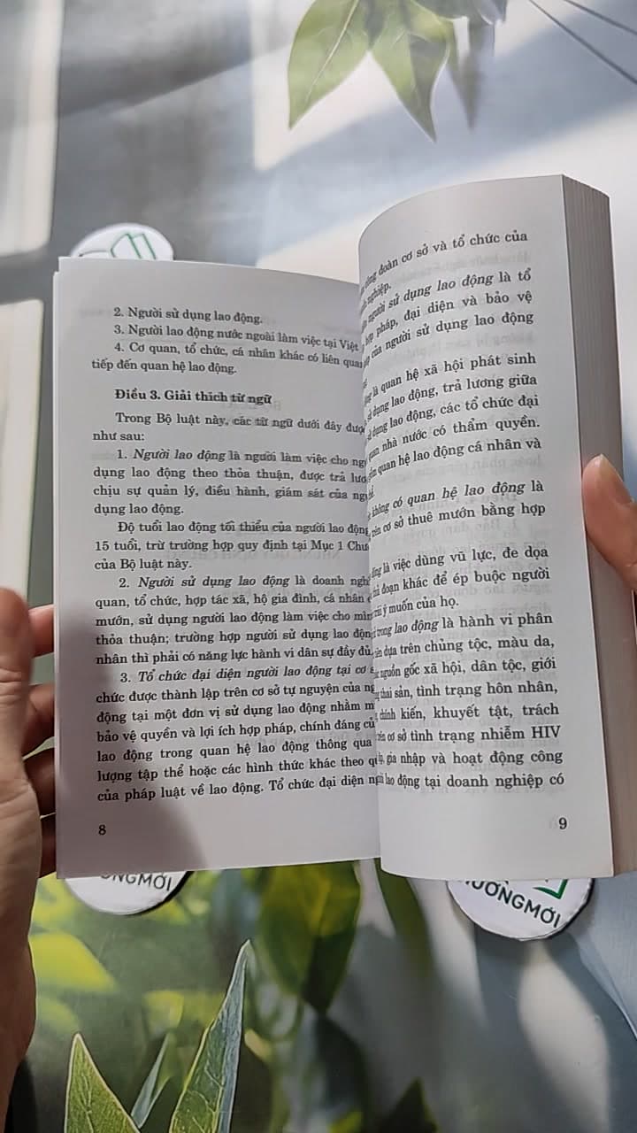 Bộ Luật Lao Động Hiện Hành 9