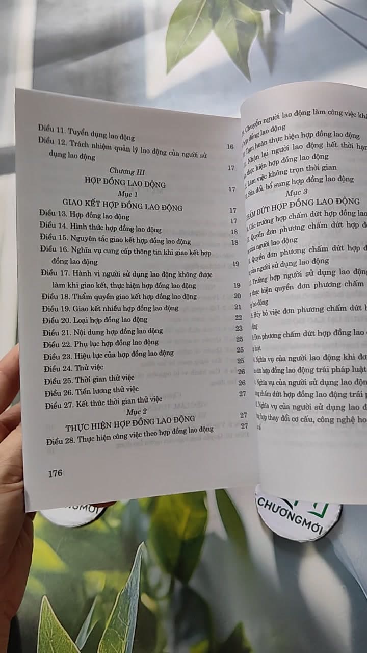 Bộ Luật Lao Động Hiện Hành 11